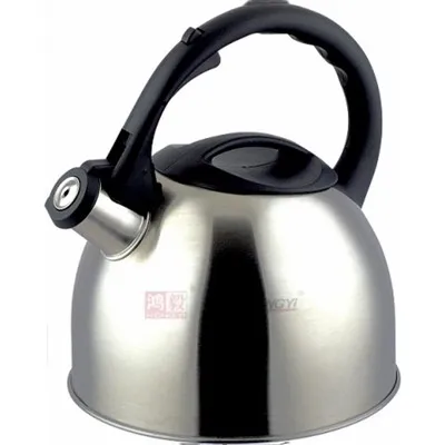 Bouilloire à thé en acier inoxydable du Brésil